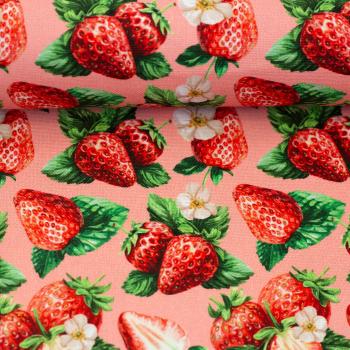 Preview: Dekodruck Matteo Erdbeeren von Swafing